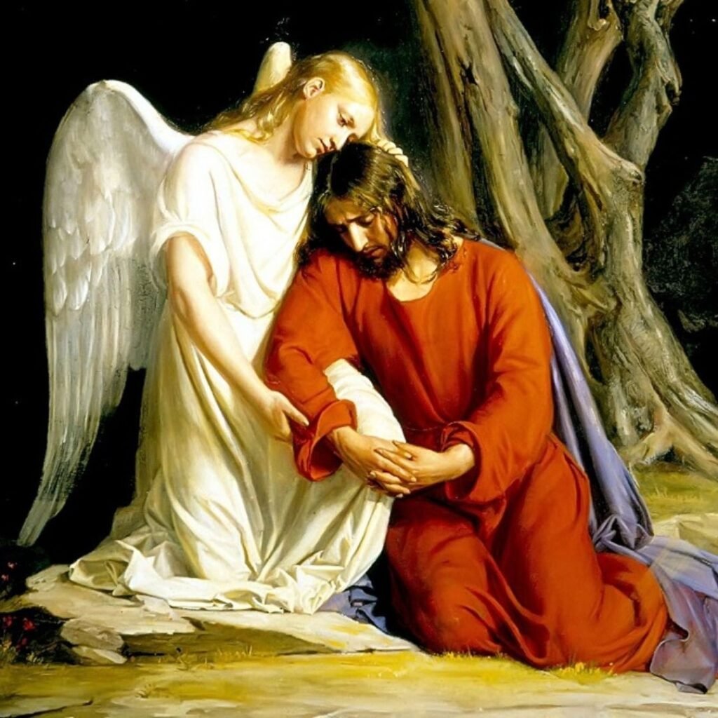 Angels And You